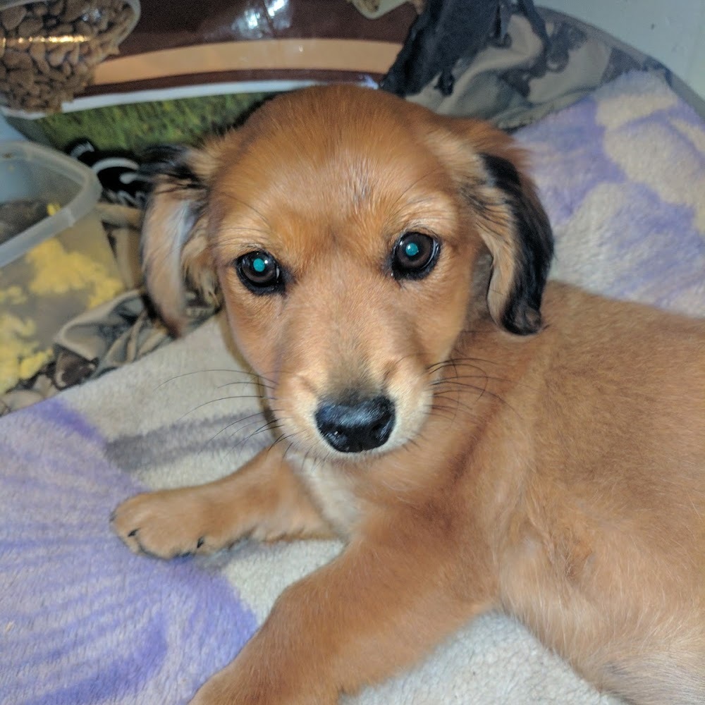 Meet your Posher, Terrance